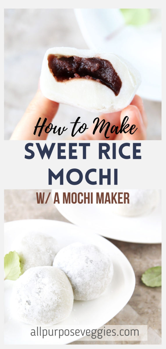 How to Make Mochi from Scratch! (w/ a Mochi Maker) - mochi