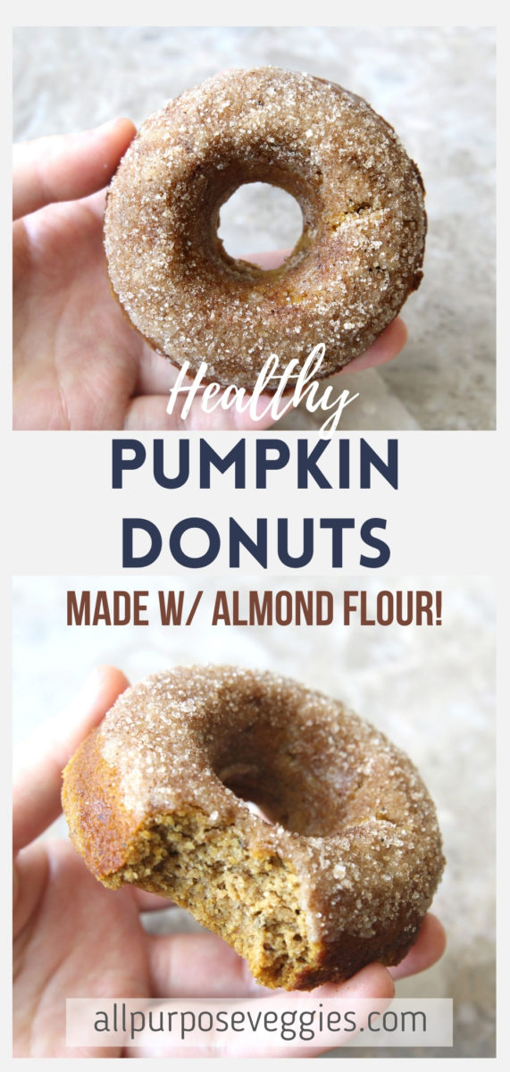Gluten Free Cinnamon Sugar Pumpkin Donuts (Baked & Paleo-Friendly) - pumpkin donuts