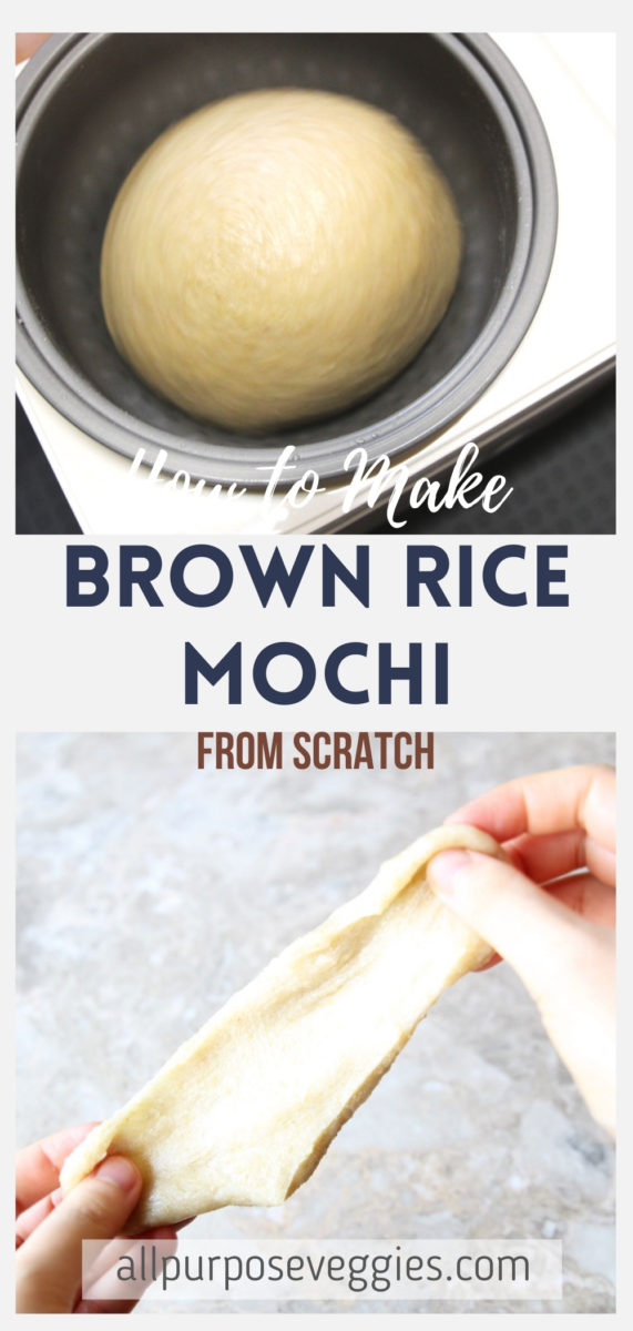 How to Make Brown Rice Mochi from Scratch (w/ Mochi Maker) - brown rice mochi