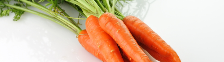 banner carrot header