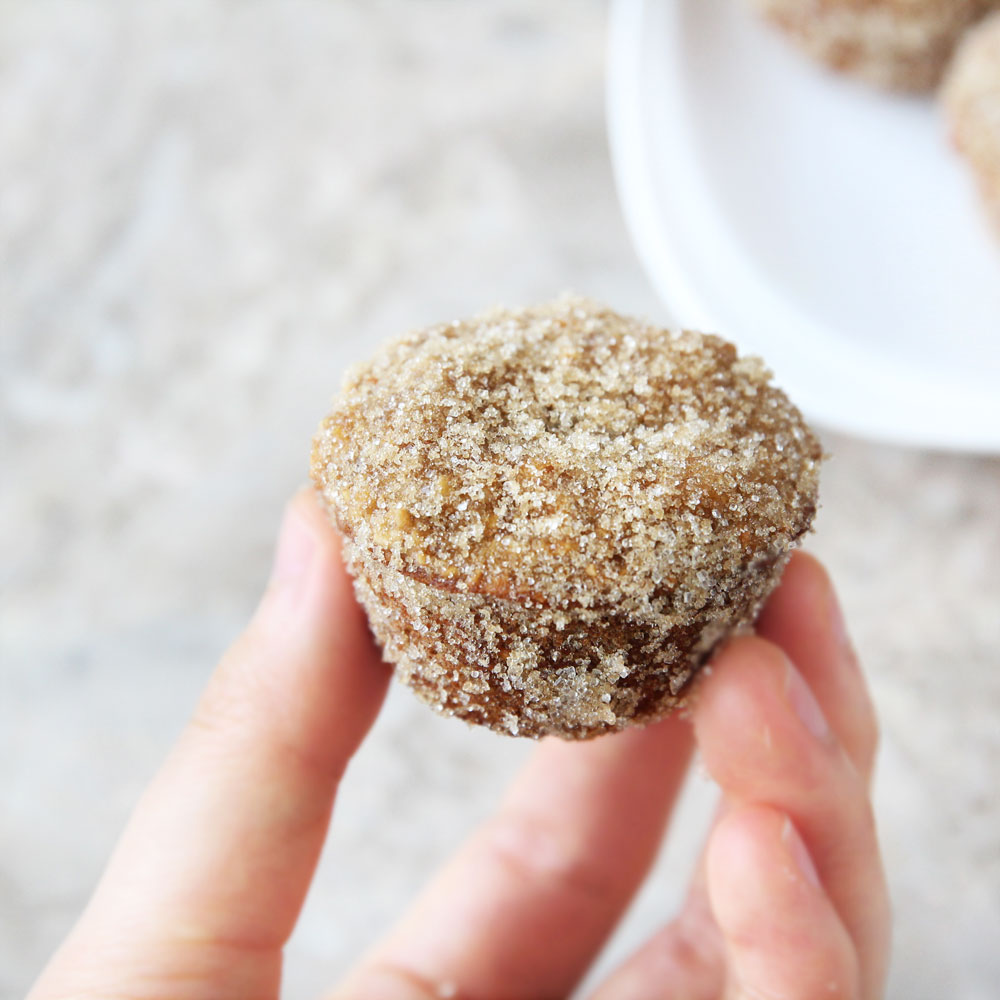 Almond Flour & Oatmeal Cinnamon Sugar Baked Donuts (Made Gluten-Free) - Almond Joy Protein Bars