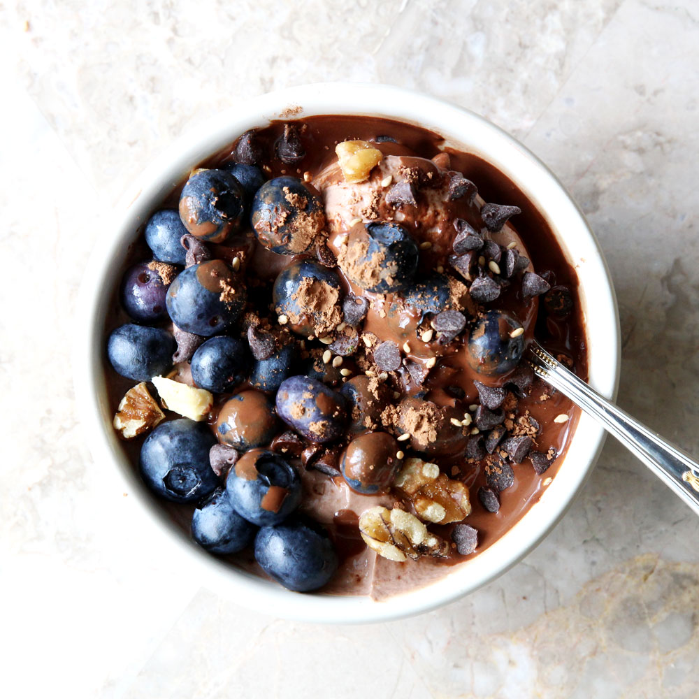 Chocolate Blueberry Yogurt Bowl