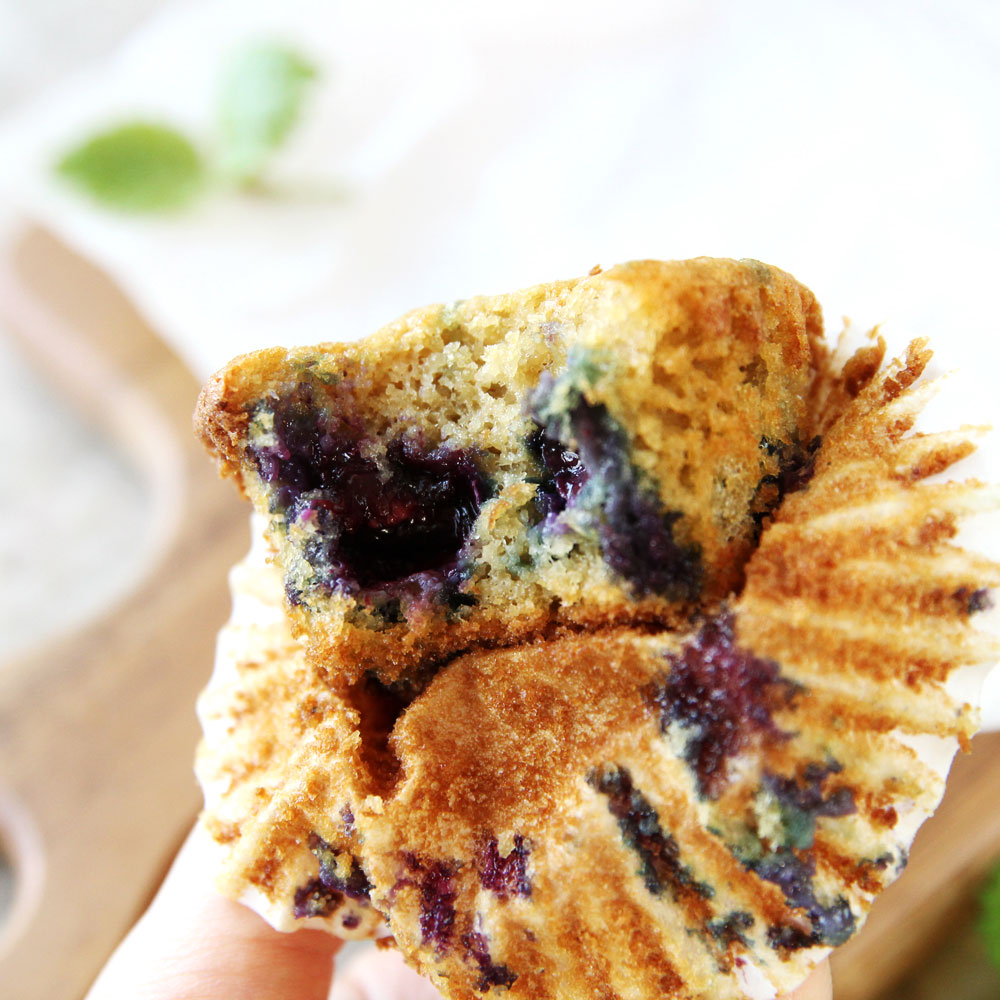 Paleo Cauliflower Blueberry Muffins Made in the Food Processor - cauliflower blueberry muffins