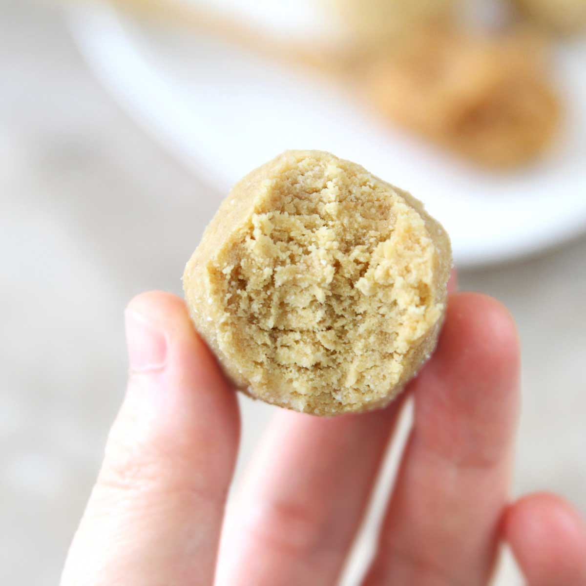 Almond Butter & Graham Protein Balls (Easy No Bake Energy Bites) - protein balls