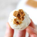 Lotus Biscoff Protein Balls Recipe (Easy No Bake Energy Bites) - Biscoff Cookie Butter Protein Bars