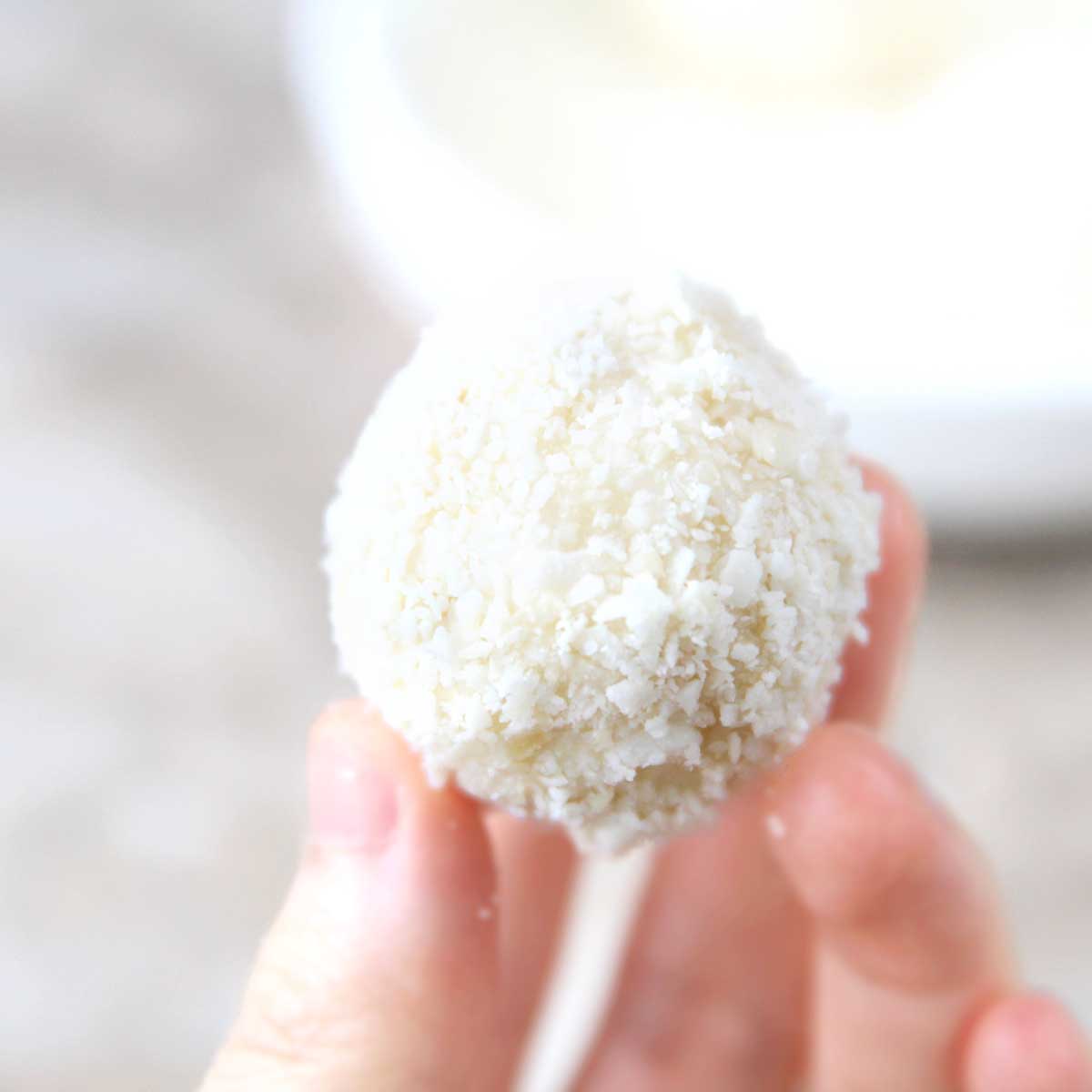 Lotus Biscoff Protein Balls Recipe (Easy No Bake Energy Bites) - protein balls