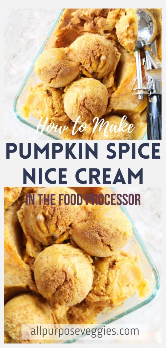 Easy Vegan Pumpkin Pie Spice Ice Cream Recipe (Only 4 Ingredients!) - Pumpkin Pie Spice Ice Cream