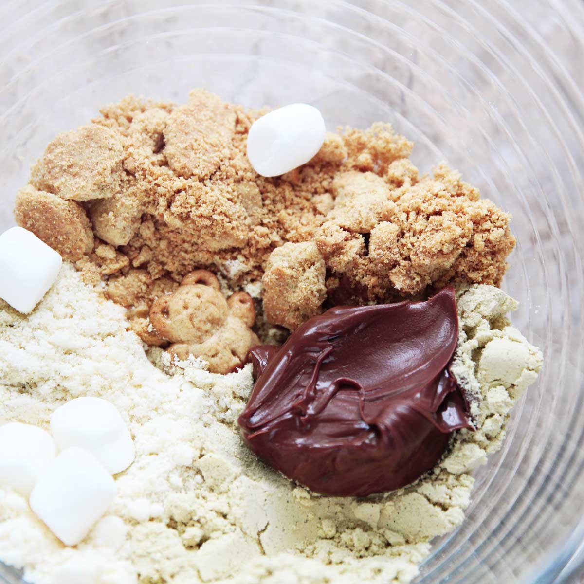 Nutella S'mores Protein Balls Recipe (Easy No Bake Energy Bites) - protein balls