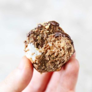 Nutella S'mores Protein Balls Recipe (Easy No Bake Energy Bites)