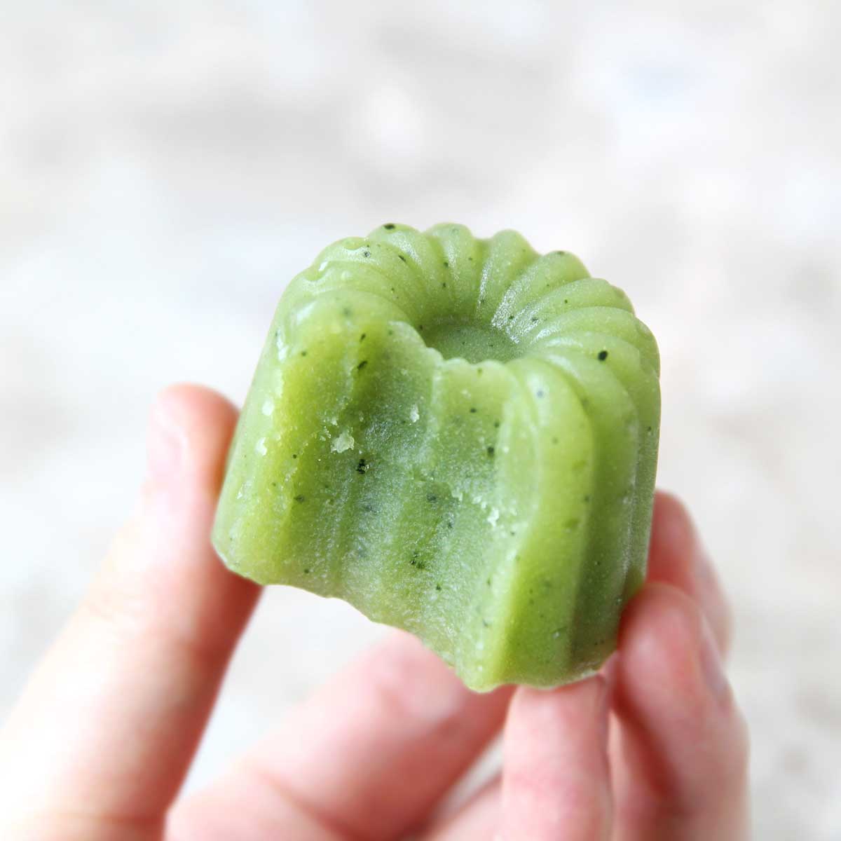 Vegan Japanese Matcha Neri Yokan (Bean Jelly) - Green Tea Snow Skin