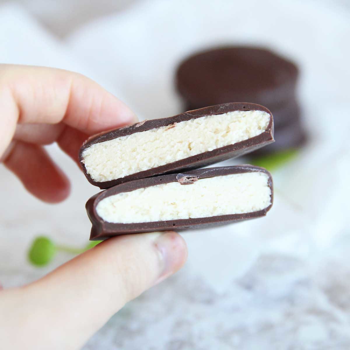 Homemade Protein Peppermint Patties (Easy, No-Bake Recipe) - peppermint patties
