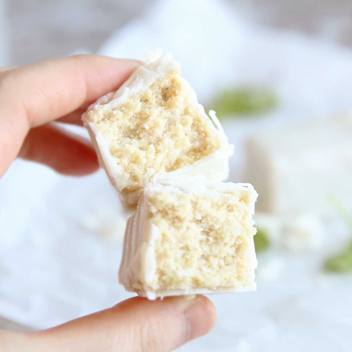 Healthy Homemade Lemon Protein Bars made with Collagen Peptides - Lemon Protein Bars
