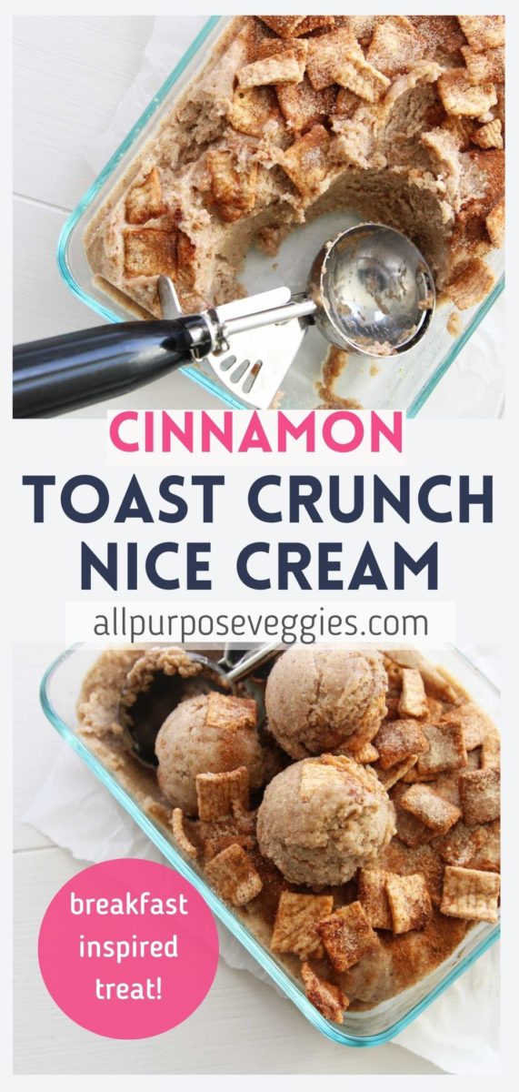 Cinnamon Toast Crunch Nice Cream Recipe