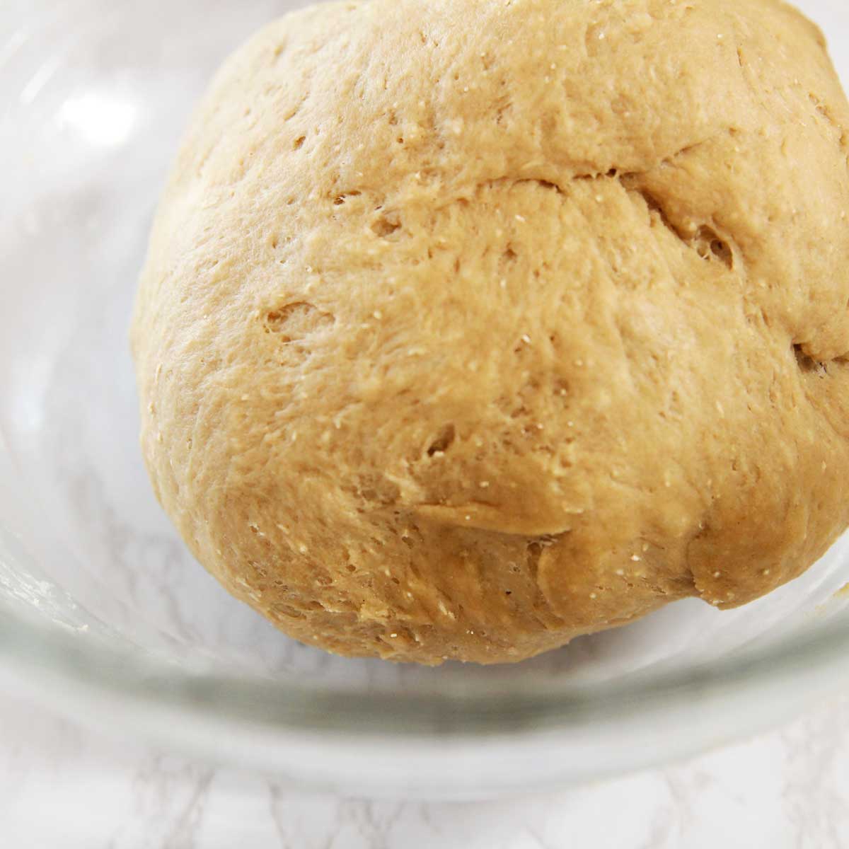 100% Whole Wheat Steamed Buns Recipe (Chinese Tangzhong Baozi Dough) - Whole Wheat Steamed Buns