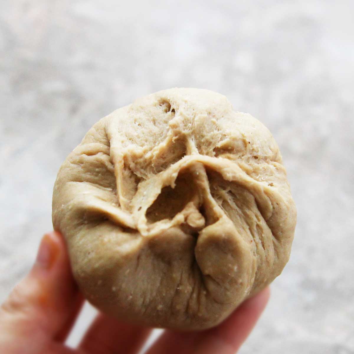 100% Whole Wheat Steamed Buns Recipe (Chinese Tangzhong Baozi Dough) - Whole Wheat Steamed Buns