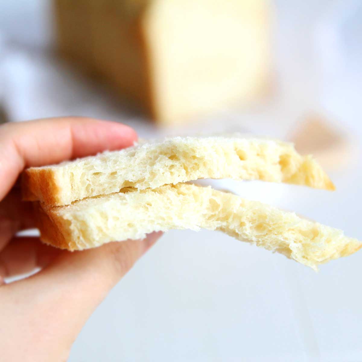 Fat Free Greek Yogurt Yeast Bread (High Protein Sandwich Bread) - Ricotta Cheese Yeast Bread