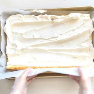 Tangy & Sweet! Greek Yogurt Swiss Roll Cake (Low Carb, Gluten-Free) - Flourless Vanilla Swiss Roll Cake